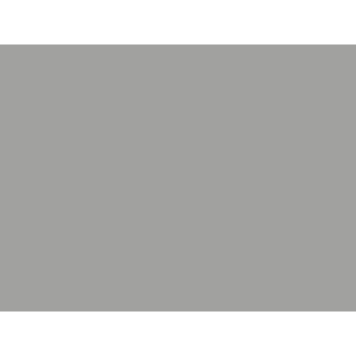 Silbermetallic (RAL 9006)