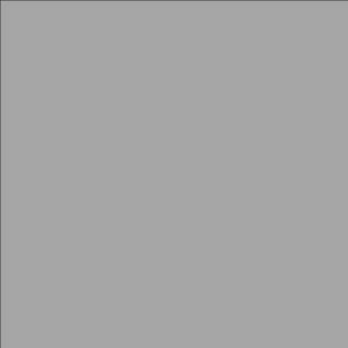 silbermetallic (RAL 9006)